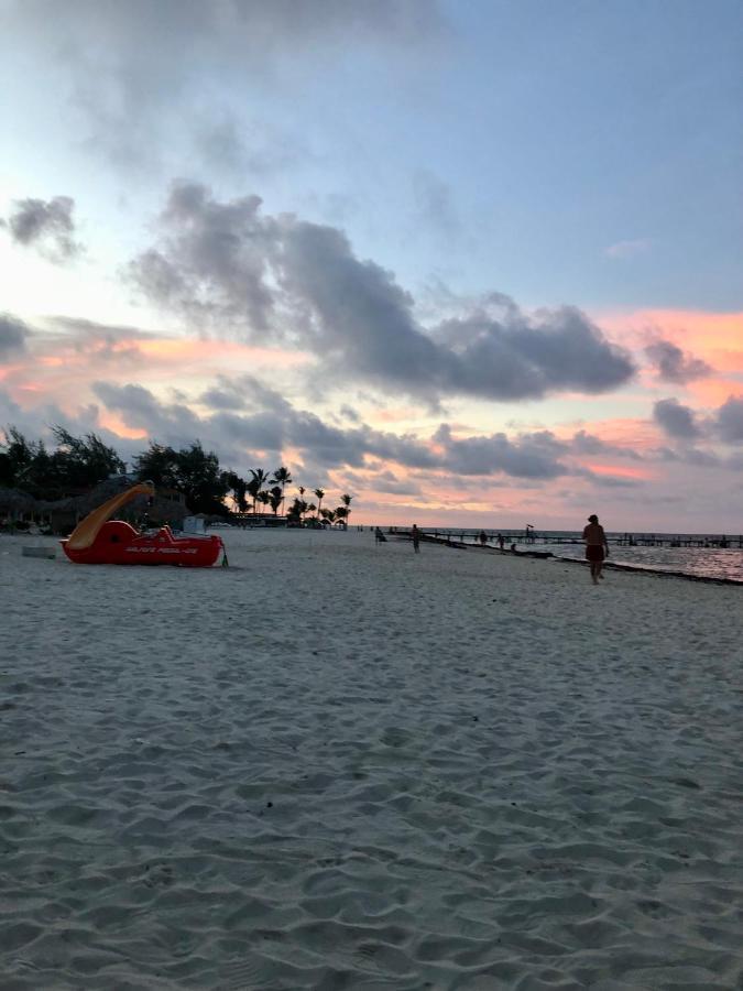 Ducassi Rooftop Pool Luxury Suites Beach Club And Spa Bavaro Exterior photo